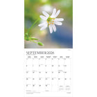 Plato - 2026 Simplicité Calendrier mural Suspendu Mensuel - 30,5 cm l x 61 cm H - Anglais-Grandes Pages de Jour Spacieuses - Tous les jours fériés les plus importants et les phases de la lune sont indiqués, avec beaucoup d'espace pour inscrire des notes et des rendez-vous