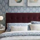Modway - Lily Velours de performance résistant aux taches Tête de lit King Size, Mûrier-Rembourrage en mousse dense