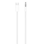 Apple - Adaptateur de câble audio USB-C vers 3,5 mm-1 connecteur audio mâle 3,5 mm