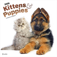 Plato - 2026 Chatons & Chiots Calendrier mural Suspendu Mensuel - 30,5 cm l x 61 cm H - Anglais-Photographie - Chaque mois, découvrez de superbes photographies ou œuvres d'art en couleur