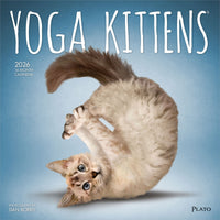 Plato - 2026 Yoga Chatons Officiel Calendrier mural Suspendu Mensuel - 30,5 cm l x 61 cm H - Anglais-Photographie - Chaque mois, découvrez de superbes photographies ou œuvres d'art en couleur