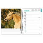 BrownTrout - Agenda 16 mois pour les amoureux des chevaux 2026-Conception Durable - Des pages épaisses et de haute qualité permettent d'éviter l'usure et la déchirure tout au long de l'année
