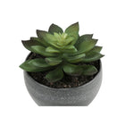 Monarch Specialties - Plante Artificielle - 6 po H - Succulent - Mis En Pot - Ensemble De 3 - Plantes Vertes - Pots Ciment Gris-6