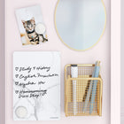 U Brands - Trousse d’accessoires magnétiques pour casier, 6 unités-La surface effaçable à sec de première qualité résiste aux taches et aux traces; l’encre des marqueurs effaçables à sec est non toxique et conforme à la norme ASTM D4236