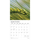 Plato - 2026 Simplicité Calendrier mural Suspendu Mensuel - 30,5 cm l x 61 cm H - Anglais-À Utiliser Tout de Suite - Calendrier de 16 mois, 12 pages de mois pleines et comprenant en prime les quatre derniers mois de l'année précédente avec une image supplémentaire