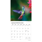 Plato - 2026 Colibris Calendrier mural Suspendu Mensuel - 30,5 cm l x 61 cm H - Anglais-Grandes Pages de Jour Spacieuses - Tous les jours fériés les plus importants et les phases de la lune sont indiqués, avec beaucoup d'espace pour inscrire des notes et des rendez-vous