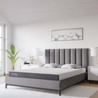Modway - Mila 5 po Matelas Queen-Mousse de soutien de 4,33 po
