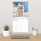 DateWorks - Calendrier Mural 16 Mois Chatons Câlins 2025 - 12 po x 12 po - Anglais-Parfait à accrocher sur un mur, un tableau en liège ou un tableau d'affichage à la maison, à l'école ou au bureau