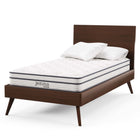 Modway - Jenna 6 po Ressorts et mousse Matelas simple-CertiPUR-US Certifié