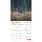 Wyman Publishing - 2026 Élan Par Canadian Geographic Officiel Calendrier mural Suspendu Mensuel - 30,5 cm l x 61 cm H - Anglais-Grandes Pages de Jour Spacieuses - Tous les jours fériés les plus importants et les phases de la lune sont indiqués, avec beaucoup d'espace pour inscrire des notes et des rendez-vous