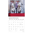 Plato - 2026 Copains Chiots Calendrier mural Suspendu Mensuel - 30,5 cm l x 61 cm H - Anglais-Grandes Pages de Jour Spacieuses - Tous les jours fériés les plus importants et les phases de la lune sont indiqués, avec beaucoup d'espace pour inscrire des notes et des rendez-vous