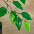 HOMCOM - Arbre artificiel ficus 4,5 pi avec feuilles réalistes pour intérieur - vert-Matériau : PEVA, PE, Ciment 