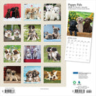 Plato - 2026 Copains Chiots Calendrier mural Suspendu Mensuel - 30,5 cm l x 61 cm H - Anglais-Conception Durable - Le papier robuste et de haute qualité empêche le froissage et le débordement de l'encre, et la reliure durable assure la longévité tout au long de l'année