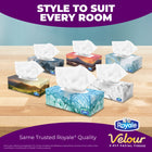 Royale - Mouchoirs Velour à 3 épaisseurs - 82 mouchoirs/boîte - Paquet de 48-8