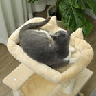 PawHut - Arbre à chat tour multi-niveaux maison pour chaton avec poteau à griffer - beige-Couleur : Beige 