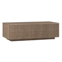Hudson&Canal - Table basse rectangulaire Reyes 48" L - Chêne gris vieilli-Un design contemporain moderne pour votre salon, votre bureau et plus encore