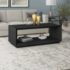 Hudson&Canal - Table basse rectangulaire Tannen 48" L - Grain noir-Caractéristiques assemblage facile
