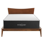 Modway - Aveline 16 po Mousse à mémoire de forme Matelas complet-Garantie limitée d'un an du fabricant