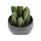 Monarch Specialties - Plante Artificielle - 6 po H - Succulent - Mis En Pot - Ensemble De 3 - Plantes Vertes - Pots Ciment Gris-Dimensions du produit : 4 po L x 4,5 po L x 5,75 po H : 4 po L x 4,5 po L x 5,5 po H : 4 po L x 4,5 po L x 4,5 po x 4,25 po H