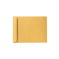 LUX ? Enveloppes 13 x 17 po, très grandes, 28 lb, brun kraft, 250/boîte (85739-250)-Kraft brun