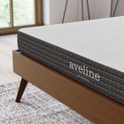 Modway - Aveline 6 po Matelas Queen-Housse amovible à fermeture éclair en tricot extensible