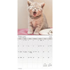DateWorks - 2026 Mini Calendrier Mural 16 Mois - 7 po x 7 po - Chatons Câlins - Anglais -Animaux