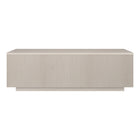 Hudson&Canal - Table basse rectangulaire Reyes 48" L - Blanc aulne-La table est fabriquée à partir de matériaux MDF et PVC de haute qualité