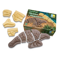 Yellow Door - YUS1229 Fouillez et Découvrez - Plésiosaure & Stégosaure-Les enfants adoreront déterrer ces morceaux de squelette épais du sable ou du sol, les assembler pour former deux créatures remarquables.