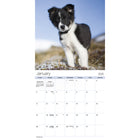 DateWorks - Calendrier Mural 16 Mois 2025 Chiots - 12 po x 12 po - Anglais-Animaux