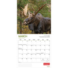 Wyman Publishing - 2026 Élan Par Canadian Geographic Officiel Calendrier mural Suspendu Mensuel - 30,5 cm l x 61 cm H - Anglais-À Utiliser Tout de Suite - Calendrier de 16 mois, 12 pages de mois pleines et comprenant en prime les quatre derniers mois de l'année précédente avec une image supplémentaire