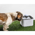 As Seen on TV - Fontaine à eau portable Paw Perfect Pet-Sûr et facile à utiliser - Cette fontaine est sûre et non toxique, sans BPA!