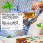 Twinings - Sachets de tisane Supermélanges Probiotiques+ Menthe poivrée et fenouil - paquet de 18-Tisane naturellement sans caféine avec le caractère rafraîchissant de la menthe et la douceur délicate du fenouil