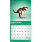 Plato - 2026 Yoga Chatons Officiel Calendrier mural Suspendu Mensuel - 30,5 cm l x 61 cm H - Anglais-Grandes Pages de Jour Spacieuses - Tous les jours fériés les plus importants et les phases de la lune sont indiqués, avec beaucoup d'espace pour inscrire des notes et des rendez-vous