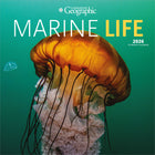 Wyman Publishing - 2026 Vie Marine Par Canadian Geographic Officiel Calendrier mural Suspendu Mensuel - 30,5 cm l x 61 cm H - Anglais-Photographie - Chaque mois, découvrez de superbes photographies ou œuvres d'art en couleur