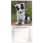 Mead - Calendrier décoratif Chiots 2027, 12 po x 12 po, bilingue-Imprimé sur du papier de qualité pour une lisibilité durable toute l’année