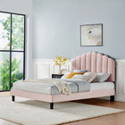 Modway - Daisy Performance Velvet Lit à plateforme jumelle, Rose-Revêtement en velours de performance