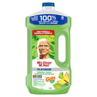 Mr. Clean Liquid Gain - Original - 1.89L-2X Concentrated* *vs. Mr. Clean Original