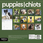 DateWorks - Calendrier Mural 16 Mois 2025 Chiots - 12 po x 12 po - Bilingue-Comprend des pages mensuelles de janvier à décembre 2025, ainsi que les 4 derniers mois de 2024.
