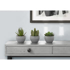 Monarch Specialties - Plante Artificielle - 6 po H - Succulent - Mis En Pot - Ensemble De 3 - Plantes Vertes - Pots Ciment Gris-Chaque plante artificielle est empotée dans un pot en mélamine grise neutre, recouvert de sable. Elle est parfaite pour être placée à l'intérieur sur des tables, des étagères ou d'autres surfaces plates
