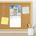 DateWorks - Mini Calendrier Mural 16 Mois des Chatons Câlins de 2025 - 7 po x 7 po - Anglais-Parfait à accrocher sur un mur, un tableau en liège ou un tableau d'affichage à la maison, à l'école ou au bureau