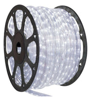 Northern Stars - DEL Ampoule Lumière de corde 89666 Le-RL5050-RGB 6W/m 120V 50M - Intensité Variable-Givrée
