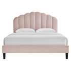 Modway - Daisy Performance Velvet Lit de plateforme complet, Rose-Revêtement en velours de performance