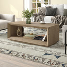 Hudson&Canal - Table basse rectangulaire Evie 48" L - Chêne gris vieilli-La table est fabriquée à partir de matériaux MDF de haute qualité et durables