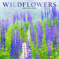 Plato - 2026 Fleurs Sauvages Calendrier mural Suspendu Mensuel - 30,5 cm l x 61 cm H - Anglais-Photographie - Chaque mois, découvrez de superbes photographies ou œuvres d'art en couleur