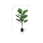 Monarch Specialties - Plante Artificielle - 54 po H - Arbre De Dieffenbachia - En Pot - Touche Réelle - Feuilles Vertes - Pot Noir-Cette plante d'intérieur à entretien facile est fabriquée à partir des matériaux de la plus haute qualité et ne nécessite pas d'entretien ou d'arrosage, pour un accent décoratif durable et respectueux de l'environnement qui durera toute une vie