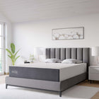 Modway - Mila 12 po Matelas King-Mousse de soutien de 11,22 po