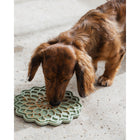 Dexypaws - Tapis à lécher enrichissant Blooming Blossom-4