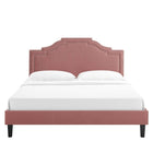 Modway - Adelaide Performance Velvet Lit de plateforme King, Rose poussiéreuse-Assemblée requise