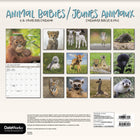 DateWorks - 2026 Calendrier Mural 16 Mois - 12 po x 12 po - Bébés Animaux - Bilingue -13 images de haute qualité imprimées sur du papier Premium
