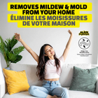 Alien - Power vaporisateur détachant instantané pour moisissure noire et mildiou - 48 oz - Paquet de 2-PÉNÈTRE PROFONDÉMENT DANS LES FISSURES, LES PORES ET LES JOINTS DE COULIS — La solution concentrée s'infiltre dans les surfaces poreuses et les crévasses que les lingettes n'atteignent jamais, délogeant les taches incrustées dans la céramique texturée, les joints de coulis, le calfeutrage et la maçonnerie rugueuse